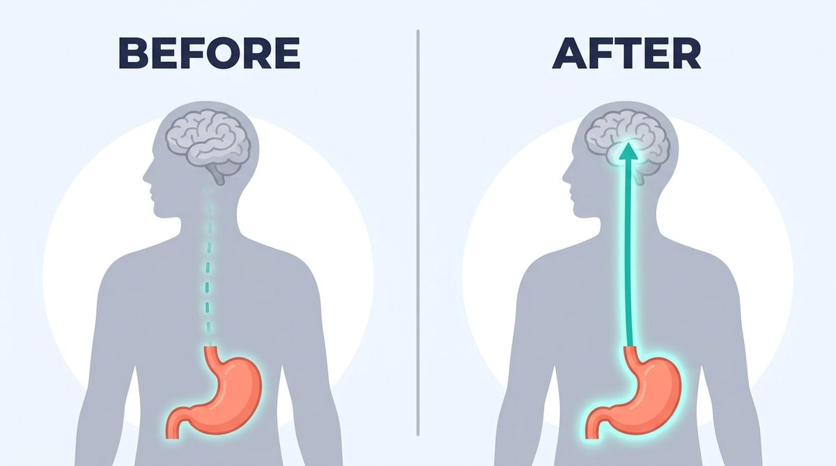 A clean, BRIGHT, MODERN flat editorial medical illustration, flat modern vector style (NOT photoreal, NOT 1990s clip-art