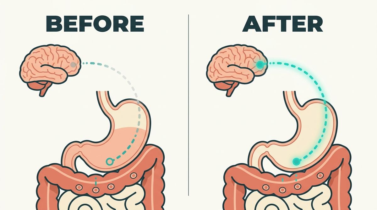 A clean, bright, modern flat-vector editorial medical illustration on a soft off-white background, WIDE HORIZONTAL 16:9 