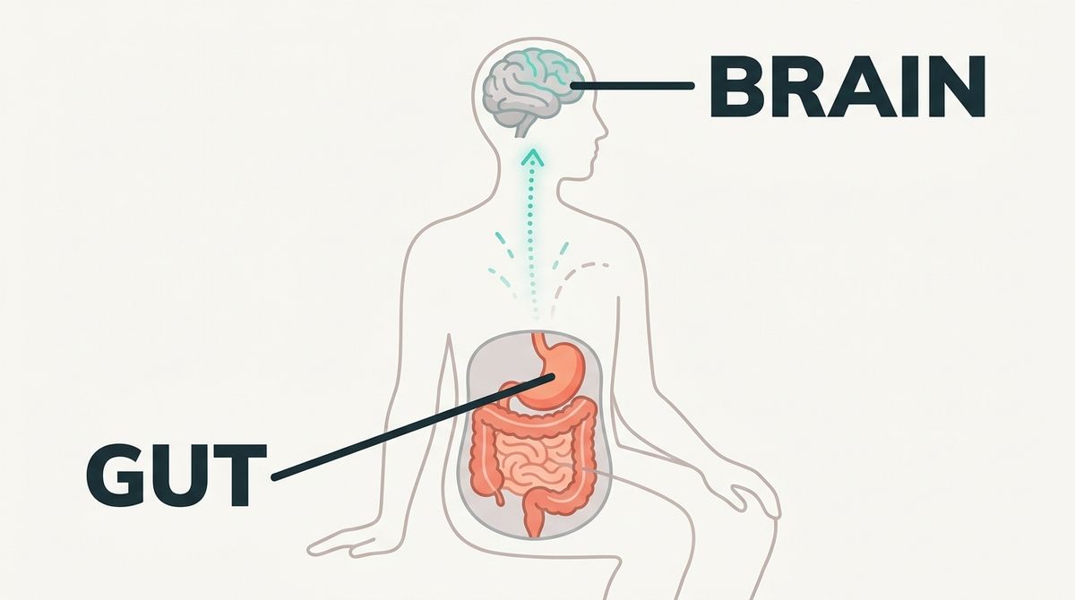 A single-panel, clean, BRIGHT, MODERN editorial medical illustration in flat modern vector style (NOT photoreal, NOT dat