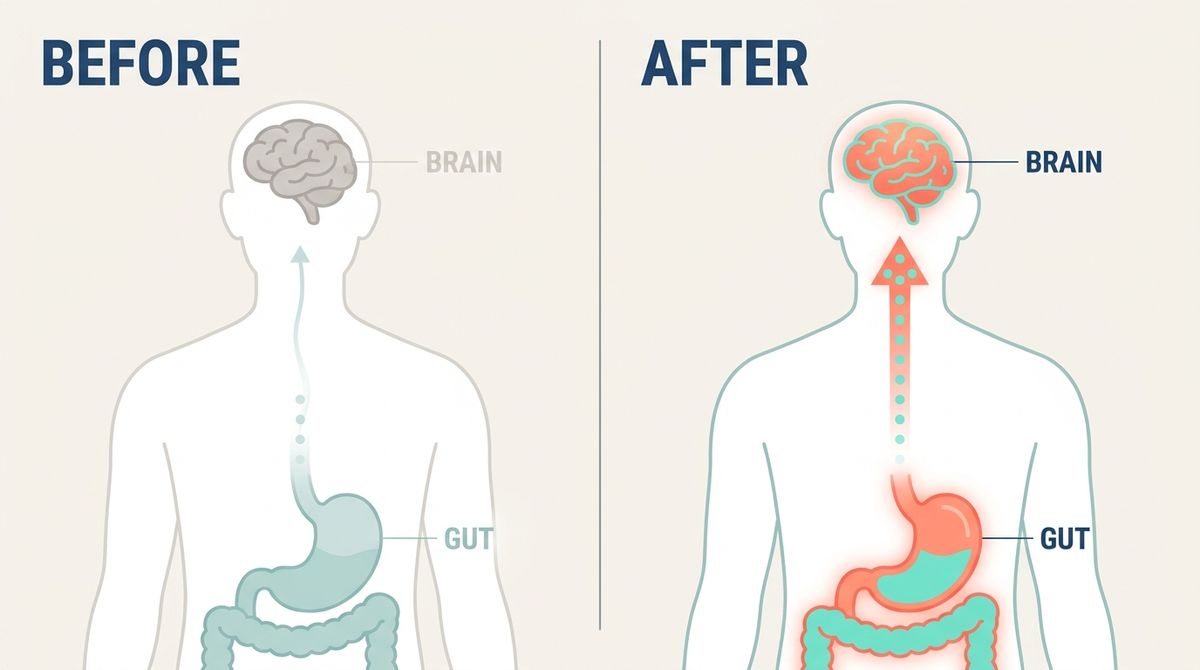 A clean, BRIGHT, MODERN editorial medical illustration, flat modern vector style (NOT photoreal, NOT dated 1990s clip-ar